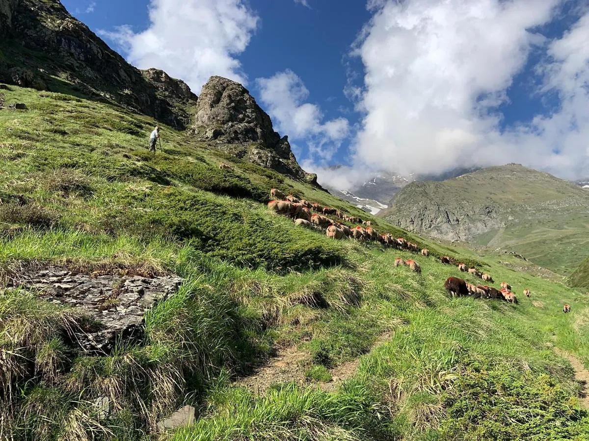 Maison Ecologique Pleine Montagne Gedre 0*,  France